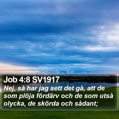 Job 4:8 SV1917 Bible Verse Image