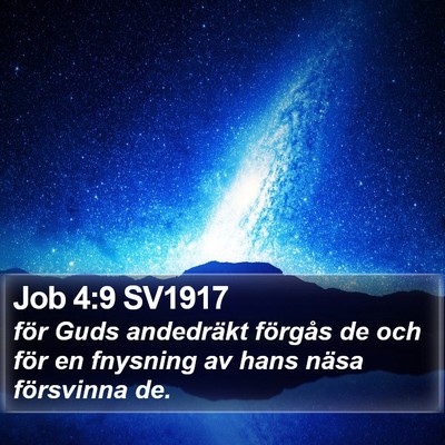 Job 4:9 SV1917 Bible Verse Image