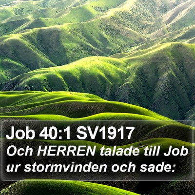 Job 40:1 SV1917 Bible Verse Image