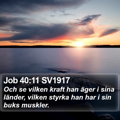 Job 40:11 SV1917 Bible Verse Image