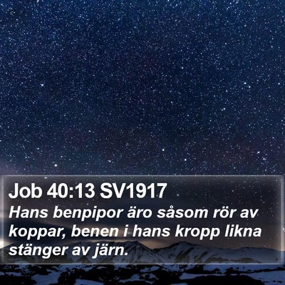 Job 40:13 SV1917 Bible Verse Image