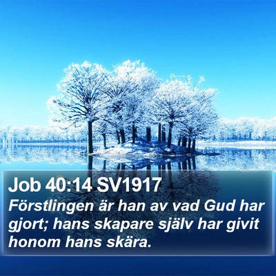 Job 40:14 SV1917 Bible Verse Image