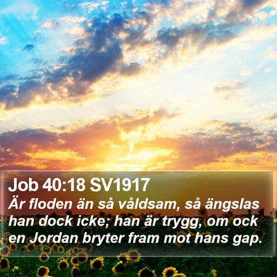 Job 40:18 SV1917 Bible Verse Image