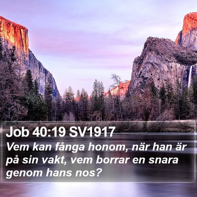 Job 40:19 SV1917 Bible Verse Image