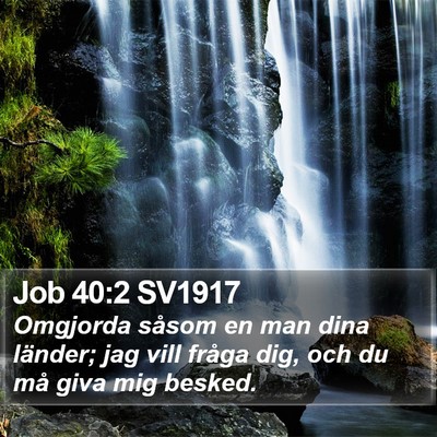 Job 40:2 SV1917 Bible Verse Image