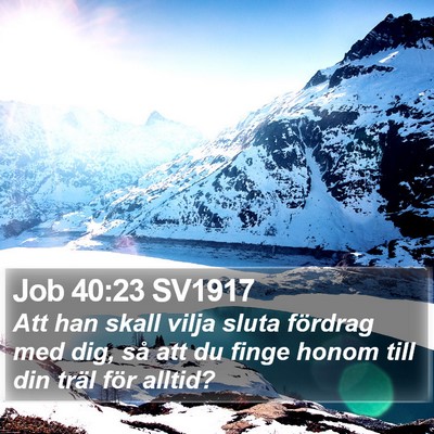 Job 40:23 SV1917 Bible Verse Image