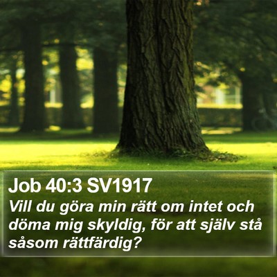 Job 40:3 SV1917 Bible Verse Image