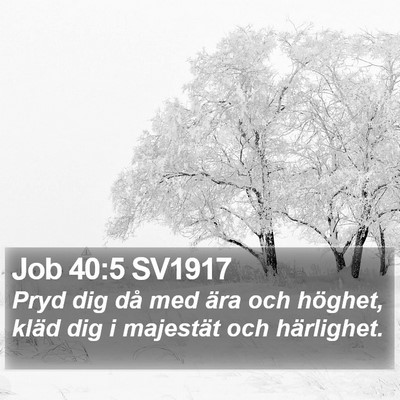 Job 40:5 SV1917 Bible Verse Image