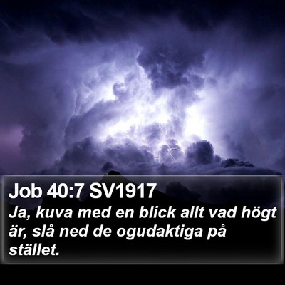 Job 40:7 SV1917 Bible Verse Image