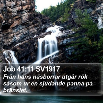 Job 41:11 SV1917 Bible Verse Image