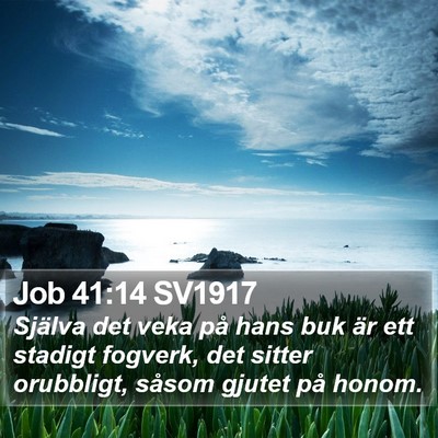 Job 41:14 SV1917 Bible Verse Image
