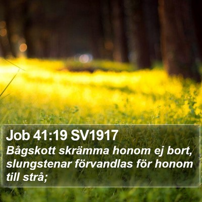 Job 41:19 SV1917 Bible Verse Image
