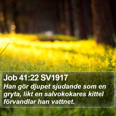 Job 41:22 SV1917 Bible Verse Image