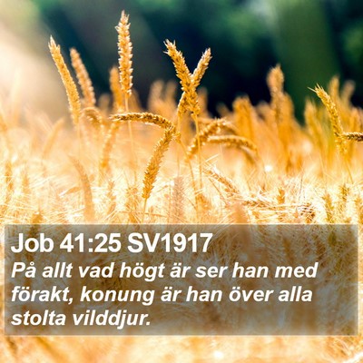 Job 41:25 SV1917 Bible Verse Image