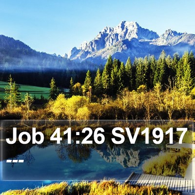 Job 41:26 SV1917 Bible Verse Image
