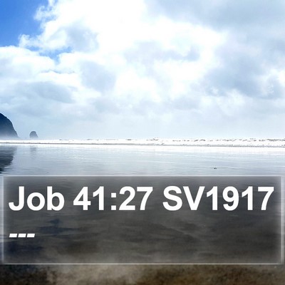 Job 41:27 SV1917 Bible Verse Image