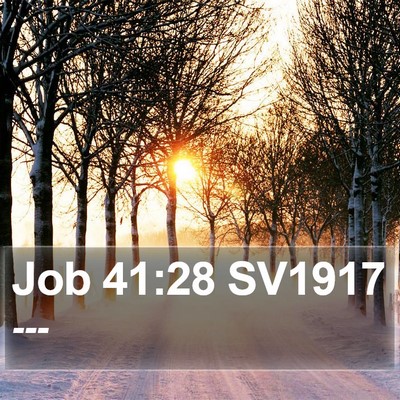 Job 41:28 SV1917 Bible Verse Image