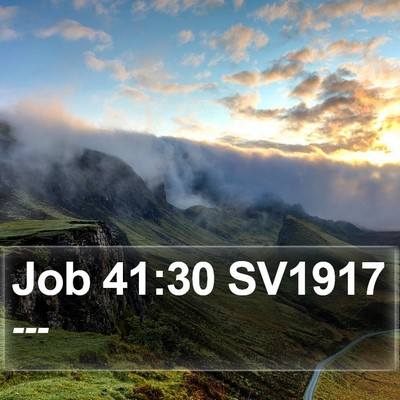 Job 41:30 SV1917 Bible Verse Image