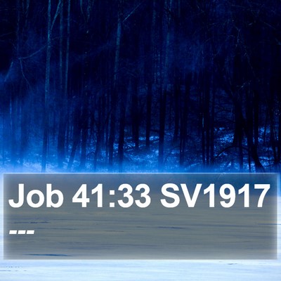 Job 41:33 SV1917 Bible Verse Image