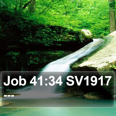 Job 41:34 SV1917 Bible Verse Image