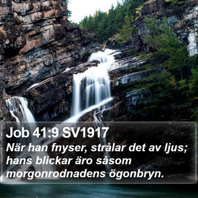 Job 41:9 SV1917 Bible Verse Image
