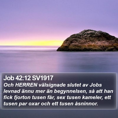 Job 42:12 SV1917 Bible Verse Image