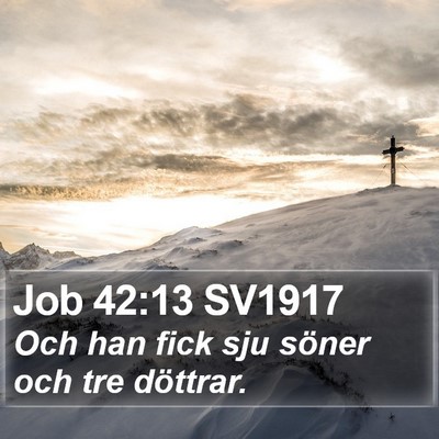Job 42:13 SV1917 Bible Verse Image