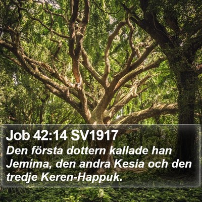 Job 42:14 SV1917 Bible Verse Image