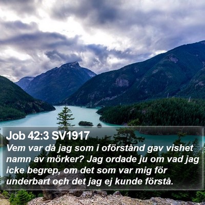 Job 42:3 SV1917 Bible Verse Image