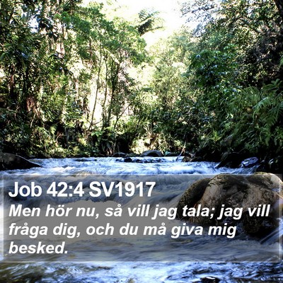 Job 42:4 SV1917 Bible Verse Image