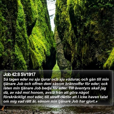 Job 42:8 SV1917 Bible Verse Image