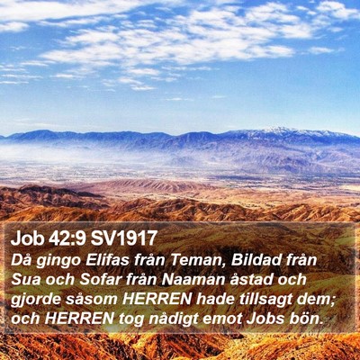 Job 42:9 SV1917 Bible Verse Image