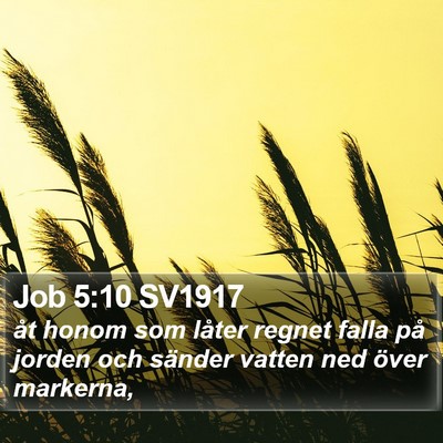 Job 5:10 SV1917 Bible Verse Image