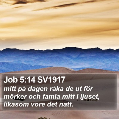 Job 5:14 SV1917 Bible Verse Image