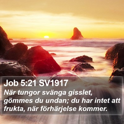 Job 5:21 SV1917 Bible Verse Image