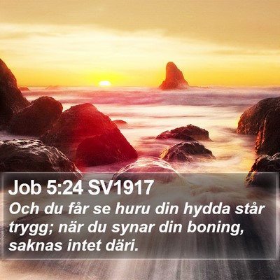 Job 5:24 SV1917 Bible Verse Image