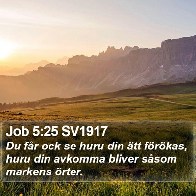 Job 5:25 SV1917 Bible Verse Image