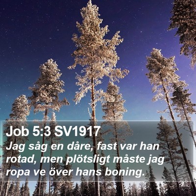 Job 5:3 SV1917 Bible Verse Image
