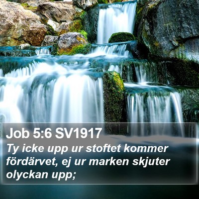 Job 5:6 SV1917 Bible Verse Image