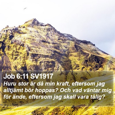 Job 6:11 SV1917 Bible Verse Image