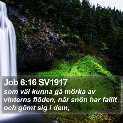 Job 6:16 SV1917 Bible Verse Image