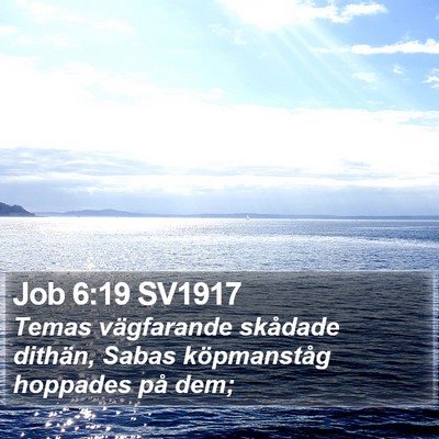 Job 6:19 SV1917 Bible Verse Image