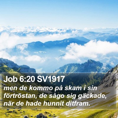 Job 6:20 SV1917 Bible Verse Image