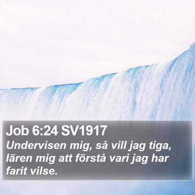 Job 6:24 SV1917 Bible Verse Image