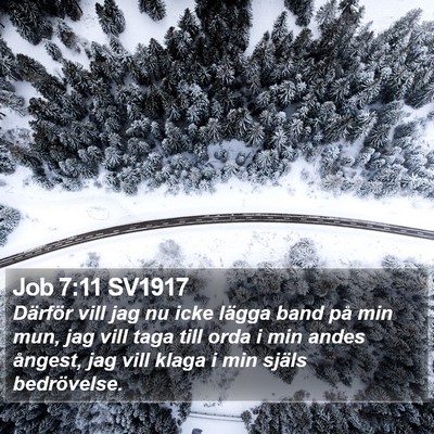 Job 7:11 SV1917 Bible Verse Image