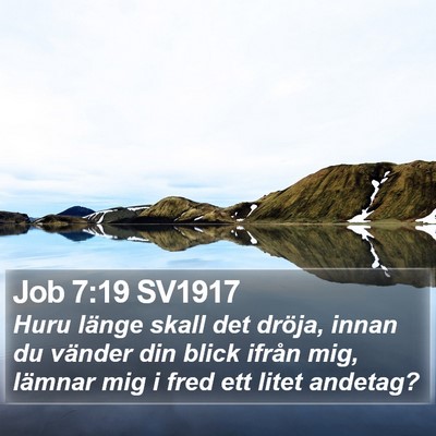 Job 7:19 SV1917 Bible Verse Image