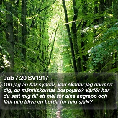 Job 7:20 SV1917 Bible Verse Image