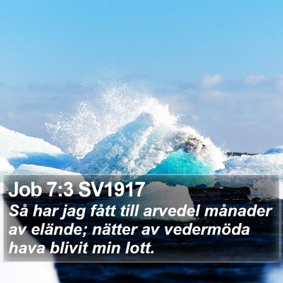 Job 7:3 SV1917 Bible Verse Image