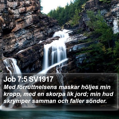 Job 7:5 SV1917 Bible Verse Image