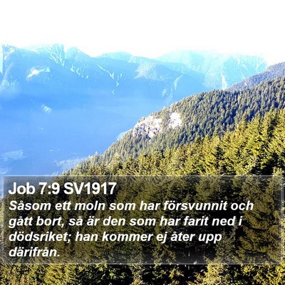 Job 7:9 SV1917 Bible Verse Image